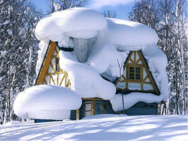 Indoor Home Improvement Projects for Winter