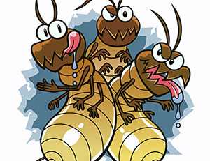 Termite Damage Prevention