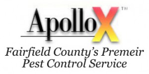 Pest Control Service