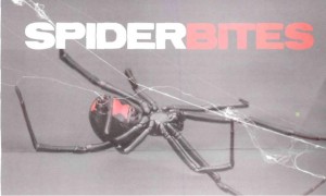 Black Widow Spider