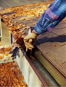 Winter Pest Inspection Checklist