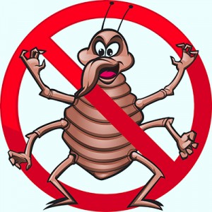 Prevent Bed Bugs