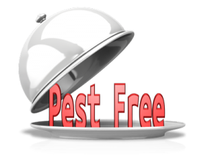 Best Commercial Pest Control