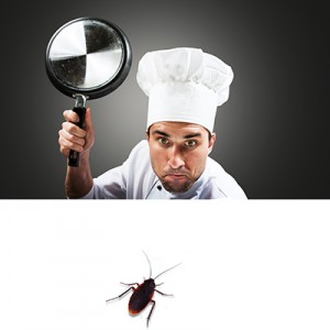 Best Commercial Pest Control Strategies