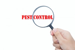 Winter Pest Inspection Checklist