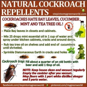 wpid Natural Cockroach Repellants