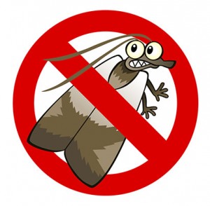 Mediterranean Flour Moth Infestation